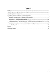 Sprendimų priėmimas tarptautinėje kompanijoje 2 puslapis