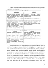 Sprendimų priėmimas tarptautinėje kompanijoje 11 puslapis