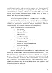 Sprendimų priėmimas tarptautinėje kompanijoje 13 puslapis