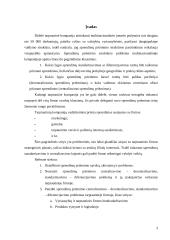 Sprendimų priėmimas tarptautinėje kompanijoje 3 puslapis