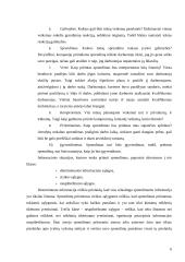 Sprendimų priėmimas tarptautinėje kompanijoje 6 puslapis