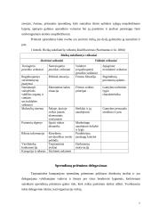 Sprendimų priėmimas tarptautinėje kompanijoje 7 puslapis