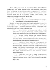 Sprendimų priėmimas tarptautinėje kompanijoje 8 puslapis