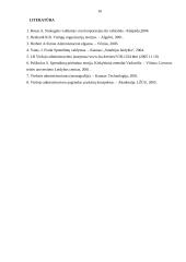 Sprendimų priėmimas viešajame administravime 16 puslapis