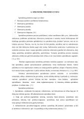 Sprendimų priėmimas viešajame administravime 10 puslapis