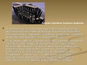 Gotika XII- XVI a. 12 puslapis