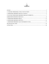 Vadybinių sprendimų priėmimo proceso analizė 2 puslapis