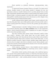 Vadybinių sprendimų priėmimo proceso analizė 11 puslapis