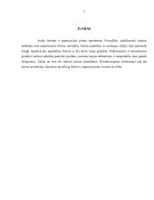 Vadybinių sprendimų priėmimo proceso analizė 3 puslapis