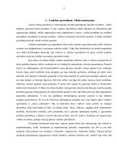 Vadybinių sprendimų priėmimo proceso analizė 4 puslapis