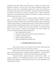 Vadybinių sprendimų priėmimo proceso analizė 5 puslapis