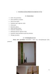 Technologijų mokyklinio brandos egzamino darbo aprašas. Paveikslas 14 puslapis