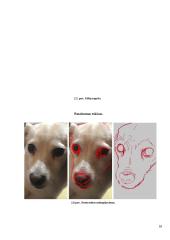 Technologijų mokyklinio brandos egzamino darbo aprašas. Paveikslas 17 puslapis