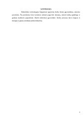 Technologijų mokyklinio brandos egzamino darbo aprašas. Paveikslas 3 puslapis