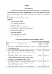 Technologijų mokyklinio brandos egzamino darbo aprašas. Paveikslas 4 puslapis