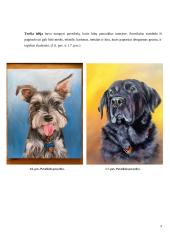 Technologijų mokyklinio brandos egzamino darbo aprašas. Paveikslas 8 puslapis