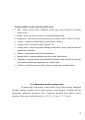 Technologijų mokyklinio brandos egzamino darbo aprašas. Paveikslas 9 puslapis