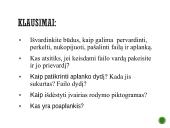 Kas yra programinė įranga? 12 puslapis