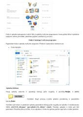 Kas yra programinė įranga? 3 puslapis