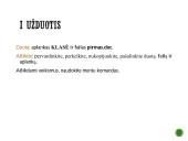 Kas yra programinė įranga? 7 puslapis