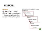Kas yra programinė įranga? 8 puslapis
