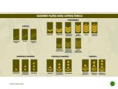 Kas yra programinė įranga? 9 puslapis