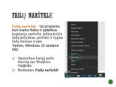 Kas yra programinė įranga? 10 puslapis