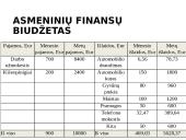 Asmeninių finansų biudžetas ir investicija į brangakmenius 2 puslapis