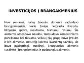 Asmeninių finansų biudžetas ir investicija į brangakmenius 3 puslapis