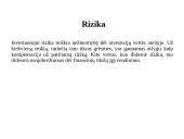 Asmeninių finansų biudžetas ir investicija į brangakmenius 7 puslapis