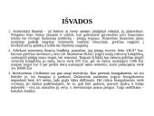 Asmeninių finansų biudžetas ir investicija į brangakmenius 8 puslapis