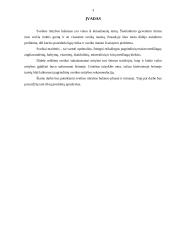 Sveikos mitybos balansas 2 puslapis