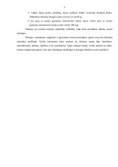 Sveikos mitybos balansas 4 puslapis