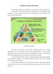 Sveikos mitybos balansas 5 puslapis