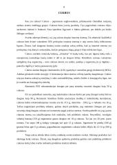 Sveikos mitybos balansas 7 puslapis