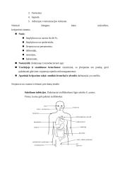 Stafilokokai 5 puslapis