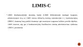 Lietuvos integrali muziejų informacinė sistema (LIMIS) 3 puslapis