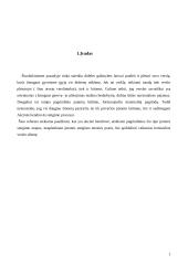 Stambių įmonių kūrimas 2 puslapis