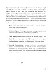 Stambių įmonių kūrimas 11 puslapis