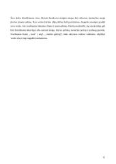 Stambių įmonių kūrimas 12 puslapis