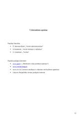 Stambių įmonių kūrimas 13 puslapis