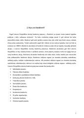 Stambių įmonių kūrimas 3 puslapis