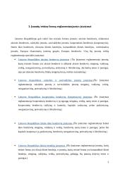 Stambių įmonių kūrimas 4 puslapis