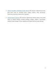 Stambių įmonių kūrimas 5 puslapis