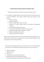 Stambių įmonių kūrimas 6 puslapis