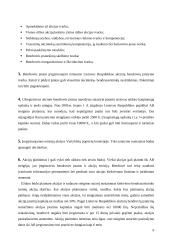 Stambių įmonių kūrimas 7 puslapis