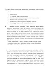 Stambių įmonių kūrimas 8 puslapis