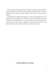 Stambių įmonių kūrimas 10 puslapis