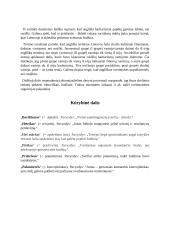Barbarizmai Lietuvos ledo ritulyje 12 puslapis