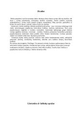 Barbarizmai Lietuvos ledo ritulyje 13 puslapis